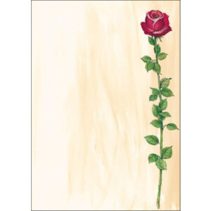 SIGEL     Designpapier                A4 DP695     Rose Bloom, 90g       25 Blatt