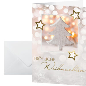SIGEL     Weihnachts-Karte/Couvert A6/A5 DS056     220g               je 10 Stück