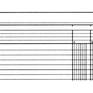 SIMPLEX   Statistikbuch               A4 19082     2 Kolonnen, grün      40 Blatt