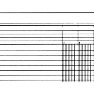 SIMPLEX   Statistikbuch               A4 19088     4 Kolonnen, grün      40 Blatt