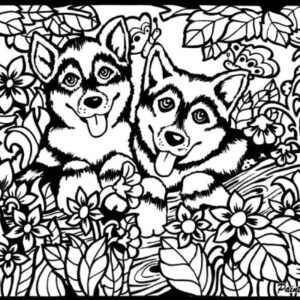 TATARUGA  Samtbild                    A4 S5        Huskys
