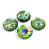 TRENDFORM EYE Magnete PEACOCK EY2020    4er Set