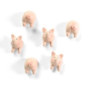 TRENDFORM Magnete PIGGY FA4593    6er Set assortiert