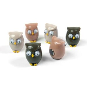TRENDFORM Magnete OWL FW3542    6er Set assortiert