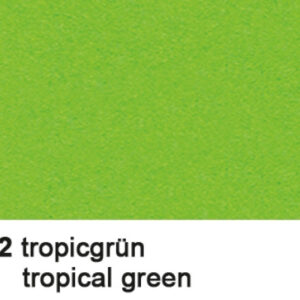 URSUS     Tonzeichenpapier       50x70cm 2232252   130g, tropicgrün
