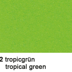 URSUS     Fotokarton                  A4 3764652   300g, tropicgrün     100 Blatt