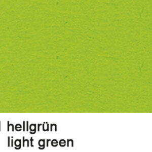 URSUS     Fotokarton            70x100cm 3881451   300g, hellgrün