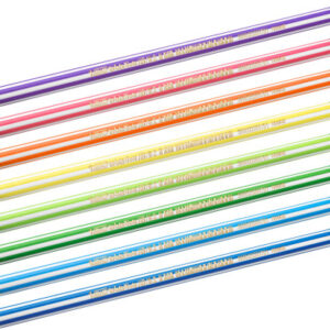 BIC       Bleistift Evolution Stripes 8960342   sechskant-Mine ass.    12 Stk.