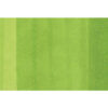 COPIC     Marker Classic 20075201  YG25 - Celadon Green – Bild 3