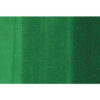 COPIC     Marker Classic 20075213  G19 - Bright Parrot Green – Bild 3