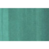 COPIC     Marker Classic 2007523   G17 - Forest Green – Bild 3