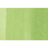 COPIC     Marker Sketch 21075374  G43 - Pistachio – Bild 3