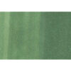 COPIC     Marker Sketch 21075375  G46 - Mistletoe – Bild 3