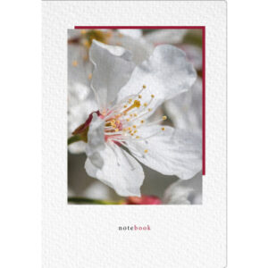 NATURVERL Notizbuch Crushpaper        A5 11006N    Kirsche Foto, dotted