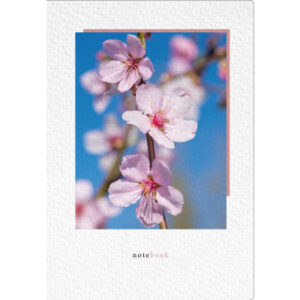 NATURVERL Notizbuch Crushpaper        A5 11018N    Mandel Foto, dotted