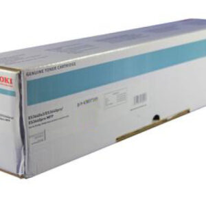 OKI       Toner-Modul            schwarz 43837108  ES3640A3         18'000 Seiten