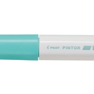 PILOT     Marker Pintor            8.0mm SWPTBPG   pastell grün