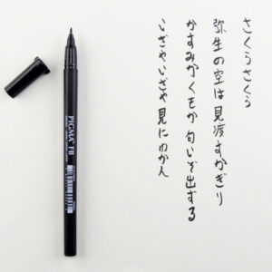 SAKURA    Pigma Brush Pen              F XFVKFB49  black