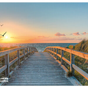 SPEEDLINK SILK Mousepad Beach SL620000B