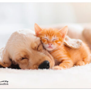 SPEEDLINK SILK Mousepad Dog&Cat SL620000D