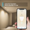TP-LINK   TapoL610(2-pack) TAPOL6102 Smart WiFi Spotlight Dimmable – Bild 3