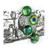 TRENDFORM EYE Magnete PEACOCK EY2020    4er Set – Bild 3