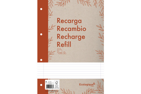 ANCOR Refill A4 ECOLOGIQUE 095784 lines, 90g 100 Bl.