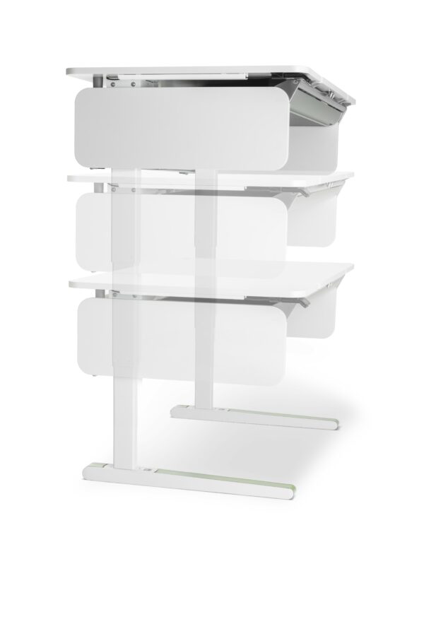 moll e-Champion – Bild 4