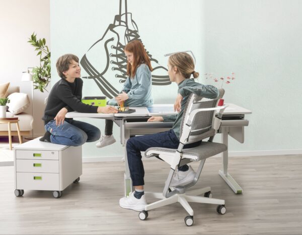 moll e-Champion – Bild 2