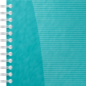 OXFORD    Task Manager         141x246mm 400184966 liniert, aqua        115 Blatt
