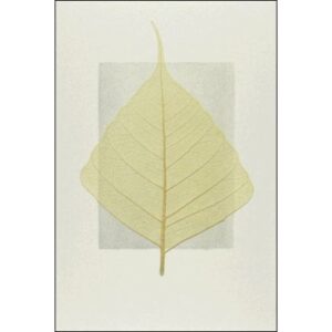 ABC       Trauerkarte              Blatt 003013730                             B6