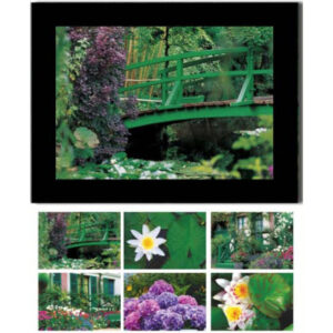 HASCHEMI  Doppelkarten-Box 118 118       MONETS GARTEN