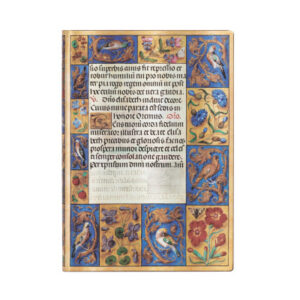 PAPERBLAN Notizbuch Spinola         Midi FB9393-0  liniert             176 Seiten