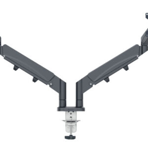 LEITZ     Monitorarm ERGO 65370089  grau, dual