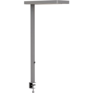 MAUL      LED-Tischleuchte MAULjuvis 8258695   Bewegung-/Lichtsensor, dim.