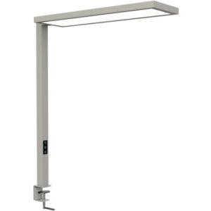 MAUL      Tischleuchte MAULsenja 8258995   Bewegung-/Lichtsensor, dim.