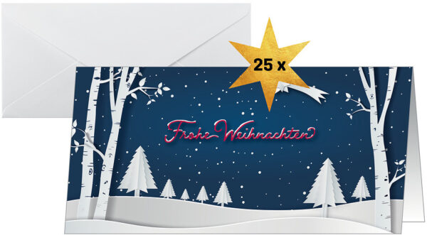 SIGEL     Weihnachtskarten            DL DS087     Pop up Winterlandschaft 25 Stk