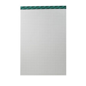 BÜROLINE  Büroblock recycling         A5 725271    kariert, 70g, 4mm    100 Blatt