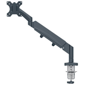 LEITZ     Monitorarm ERGO 64890089  grau, single