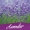 ONLINE    Tintenglas                15ml 17064/3   Dufttinte Lavender, lilac – Bild 3