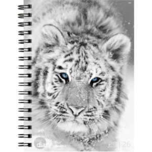 BIELLA    Schüleragenda BlackWhite 25/26 17860026U 1W/2S                12x16.5cm