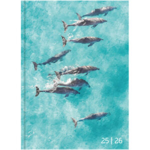 BIELLA    Schüleragenda Animal     25/26 44830026U 1T/1S                12x16.5cm