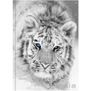 BIELLA    Schüleragenda BlackWhite 25/26 44860026U 1T/1S                12x16.5cm