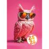 SIMPLEX   Schüleragenda Feelings   25/26 500301.26 1T/1S 12M Owl ML     12x16.5cm