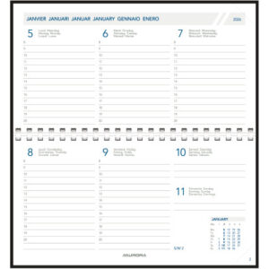 AURORA    Agenda Novoplan Pearl     2026 1700P     1W/2S ML            9.4x16.3cm