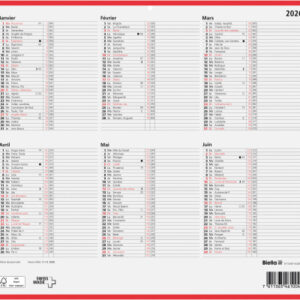BIELLA    Wandkalender              2026 871006910 6M/1S rot/weiss FR   32x29.7cm
