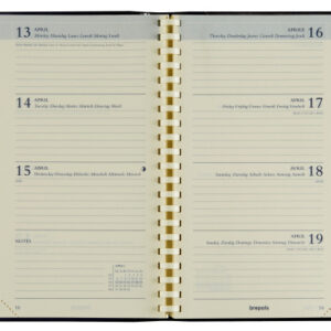 BREPOLS   Agenda Interplan          2026 26.3.0212 1W/1S Ersatz chamois    9x16cm