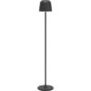 EGLO      Stehleuchte Mannera-L 901748    schwarz, Akku – Bild 2
