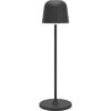 EGLO      Stehleuchte Mannera-L 901748    schwarz, Akku – Bild 3