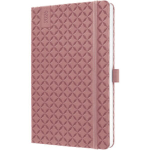 JOLIE     Agenda Flair              2026 J6129     1W/2S dusty red ML          A5